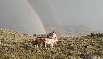 PXL_20230822_011232423